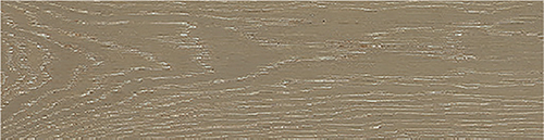 ��ÿ����